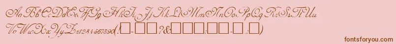 AdolpheRegular Font – Brown Fonts on Pink Background