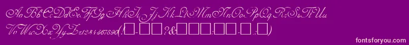 AdolpheRegular Font – Pink Fonts on Purple Background