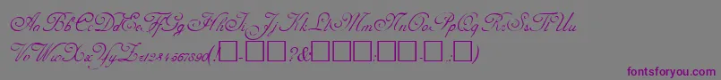 AdolpheRegular-fontti – violetit fontit harmaalla taustalla