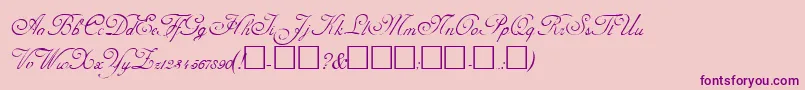 AdolpheRegular Font – Purple Fonts on Pink Background