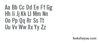 TraditionellsansBold Font