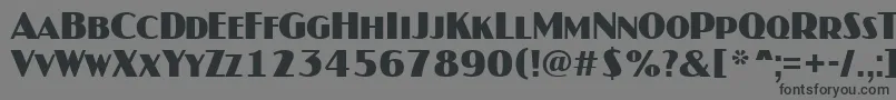 Jasper1 Font – Black Fonts on Gray Background