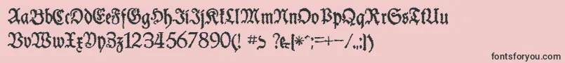 SchneiderBuchDeutschTrashFree Font – Black Fonts on Pink Background