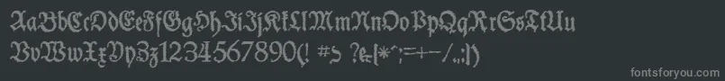 SchneiderBuchDeutschTrashFree Font – Gray Fonts on Black Background