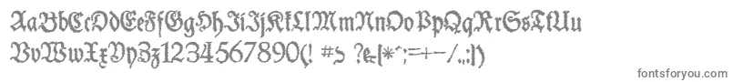 SchneiderBuchDeutschTrashFree Font – Gray Fonts on White Background