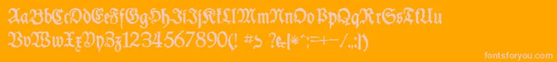 SchneiderBuchDeutschTrashFree Font – Pink Fonts on Orange Background