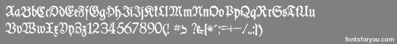 SchneiderBuchDeutschTrashFree-Schriftart – Weiße Schriften auf grauem Hintergrund