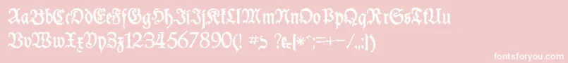 SchneiderBuchDeutschTrashFree Font – White Fonts on Pink Background