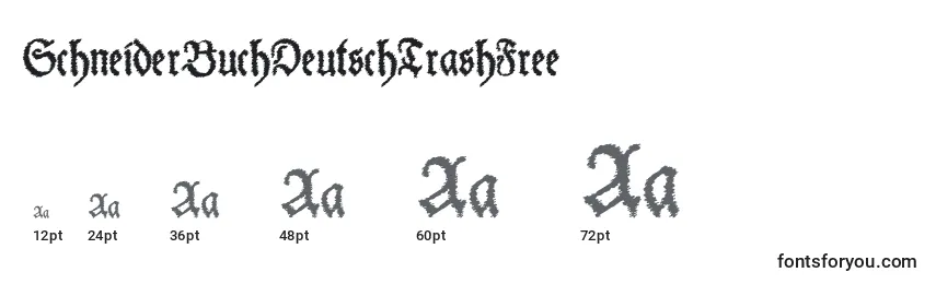 Tamaños de fuente SchneiderBuchDeutschTrashFree (75432)