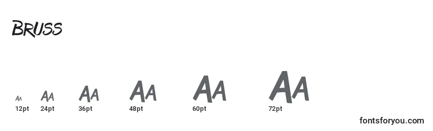 Bruss Font Sizes