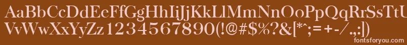 BaskervilleserialMediumRegular Font – Pink Fonts on Brown Background