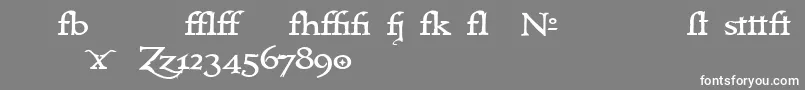 Immrtlt ffy Font – White Fonts on Gray Background