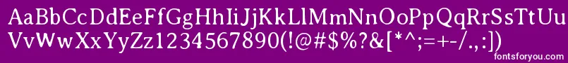 AveriaserifLight Font – White Fonts on Purple Background