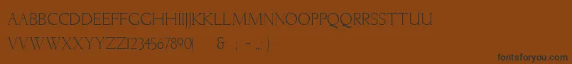 Weitere Informationen zur LichtnerRegular-Schriftart LichtnerRegular-Schriftart – Schwarze Schriften auf braunem Hintergrund