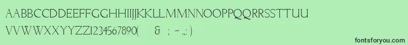 LichtnerRegular Font – Black Fonts on Green Background