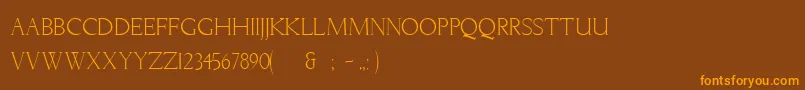 Шрифт LichtnerRegular – оранжевые шрифты на коричневом фоне