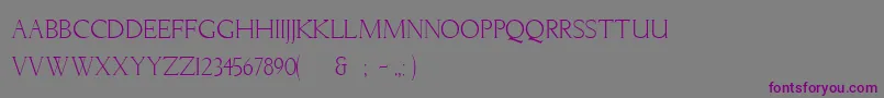 LichtnerRegular Font – Purple Fonts on Gray Background