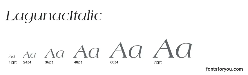 Размеры шрифта LagunacItalic