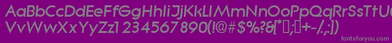 フォントSabordisplaysskItalic – 紫の背景に灰色の文字