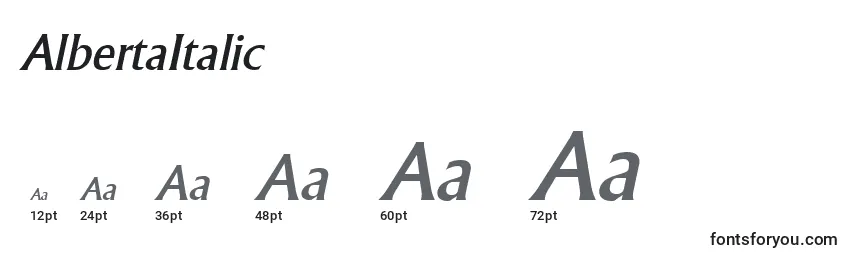 Размеры шрифта AlbertaItalic