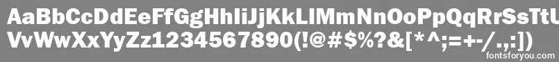 フォントFranklingothheavyctt – 灰色の背景に白い文字