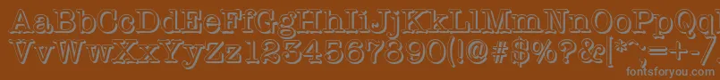 TypewritershadowRegular Font – Gray Fonts on Brown Background