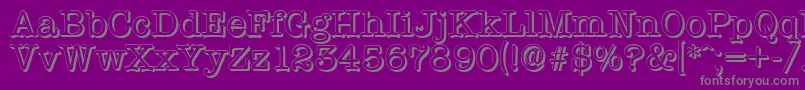 TypewritershadowRegular Font – Gray Fonts on Purple Background