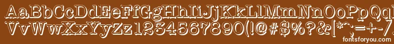 TypewritershadowRegular Font – White Fonts on Brown Background