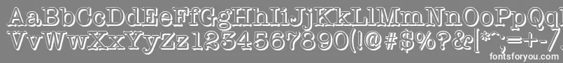 TypewritershadowRegular Font – White Fonts on Gray Background