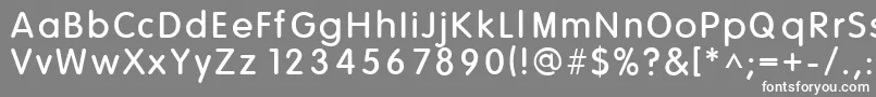 HowieSFunhouse Font – White Fonts on Gray Background