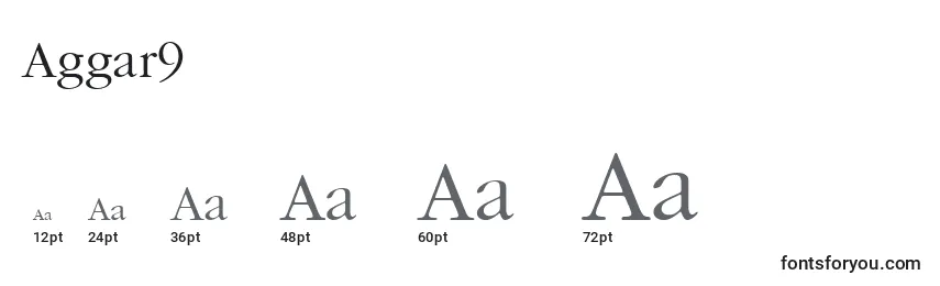 Размеры шрифта Aggar9