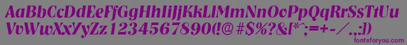 NashvilleserialBolditalic Font – Purple Fonts on Gray Background