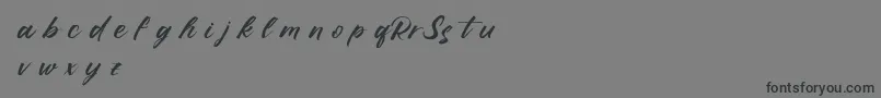 RufflescriptDemo Font – Black Fonts on Gray Background