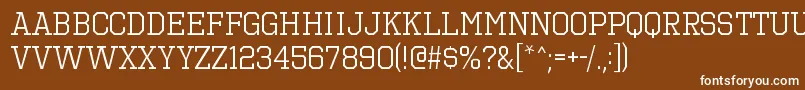 OctinsportsbkRegular Font – White Fonts on Brown Background