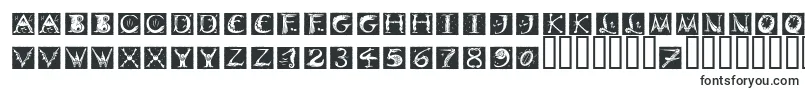 Шрифт DinitialsNegativeItcTt – шрифты для Adobe Reader