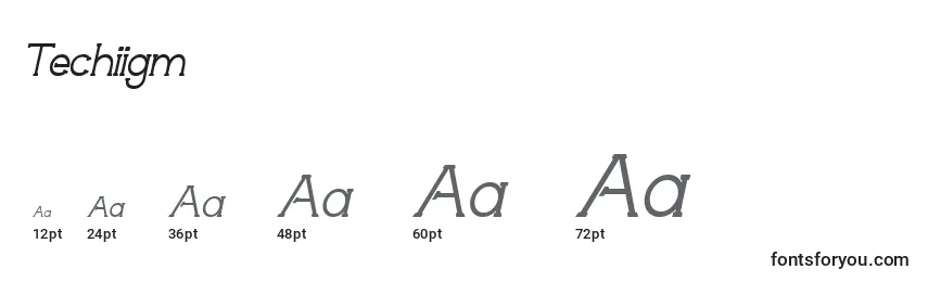 Techiigm Font Sizes