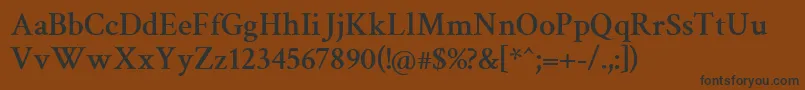 CrimsonSemibold Font – Black Fonts on Brown Background