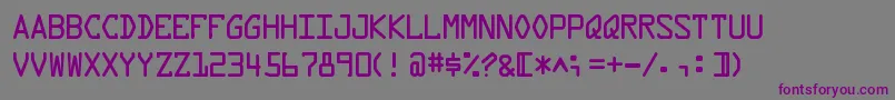 DataLatin Font – Purple Fonts on Gray Background