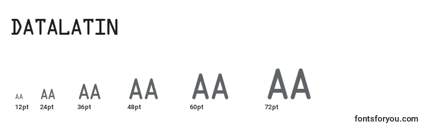 DataLatin Font Sizes