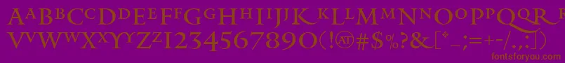 MonumentAlternate Font – Brown Fonts on Purple Background