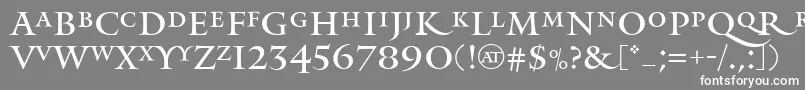 フォントMonumentAlternate – 灰色の背景に白い文字