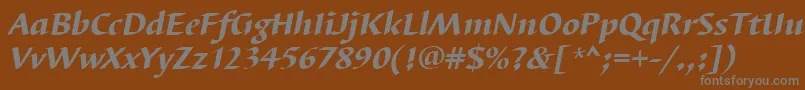 BarbedortheaItalic-fontti – harmaat kirjasimet ruskealla taustalla