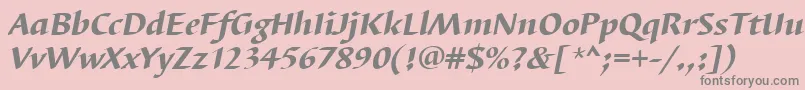 BarbedortheaItalic Font – Gray Fonts on Pink Background