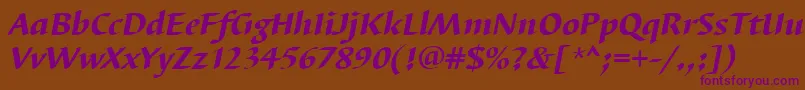 BarbedortheaItalic Font – Purple Fonts on Brown Background