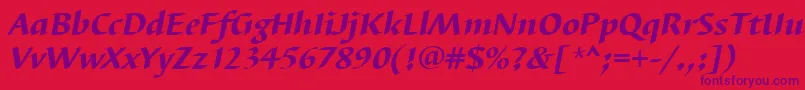 BarbedortheaItalic Font – Purple Fonts on Red Background