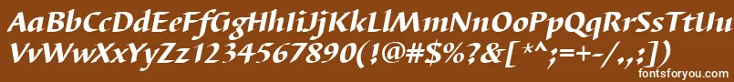 BarbedortheaItalic-fontti – valkoiset fontit ruskealla taustalla