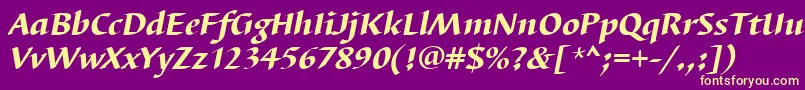 BarbedortheaItalic Font – Yellow Fonts on Purple Background