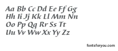 Review of the BarbedortheaItalic Font