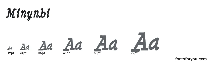 Размеры шрифта Minynbi