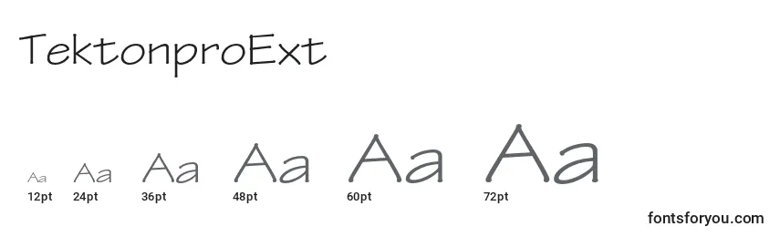 TektonproExt Font Sizes
